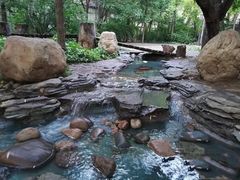 -大鹅岛绿色生态美食园