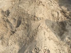 -西涌国际滨海旅游区