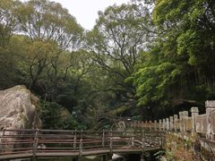 -青芝山风景名胜区