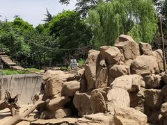 -西安秦岭野生动物园