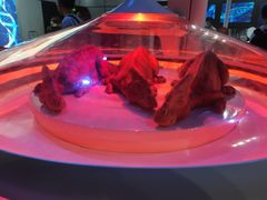 -侏罗纪世界电影特展(广州站)