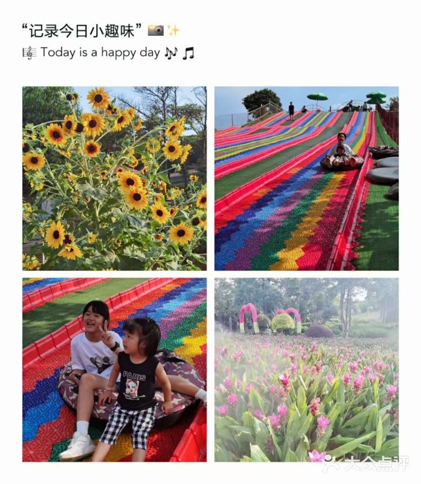松山湖南湖湾露营营地图片