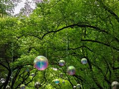 -上海共青森林公园