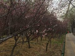 -楊家一锅(沙阳路店)