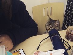 盛京一禾-盛京一禾