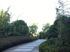 -上海崇明金茂凯悦酒店