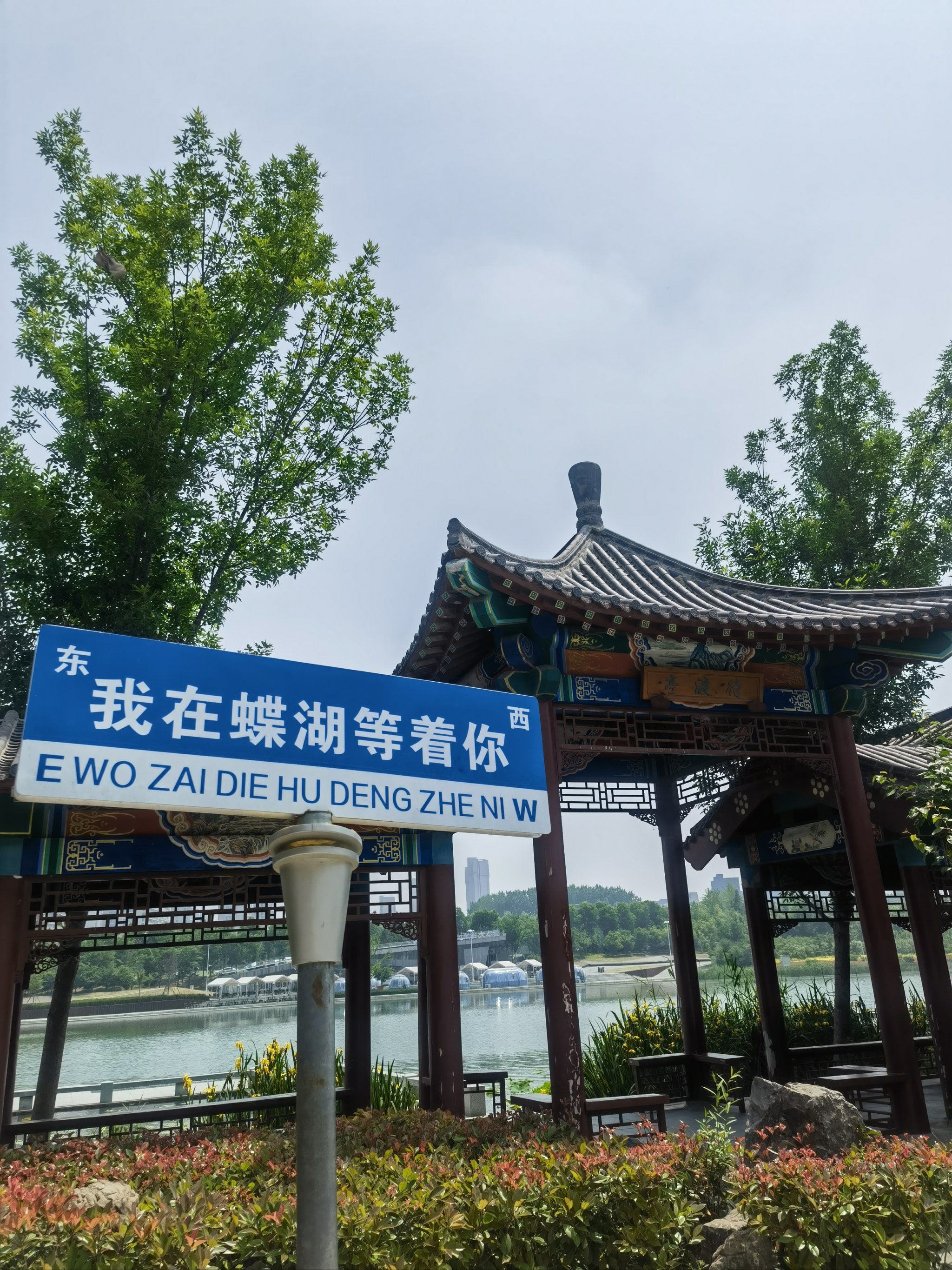 蝶湖公园很安静,景色非常不错,很适合休闲散步