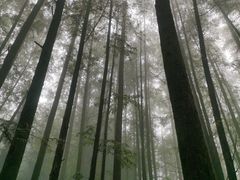 -山王坪喀斯特国家生态公园