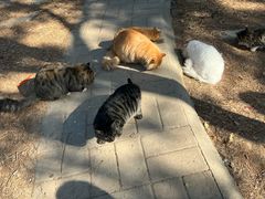 -北京西山国家森林公园