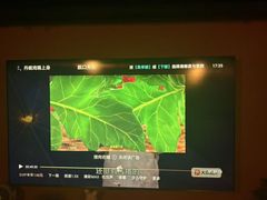 -霖公馆SPA·足道(普善路店)