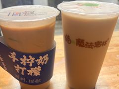 -猫的魔法密林(衣裳街店)