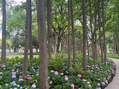 -渤公岛生态公园