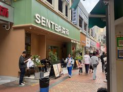 -森茶(湛江万达店)
