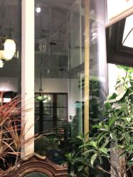 点击看大图 -salon漫