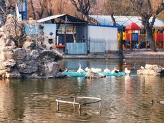 -团结湖公园