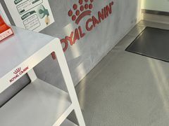 -美美宠物诊疗中心·异宠·骨科(滨江东信分院)
