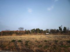 -广富林郊野公园