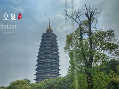 -听松楼·花园酒店·自助餐厅(红梅公园店)