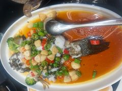 藤椒蒸笋壳鱼-富淳饭店(陆家嘴保利广场店)