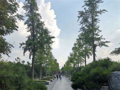 -明故宫遗址公园