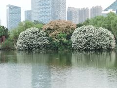 -天鹅湖体育公园
