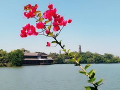 景点-惠州西湖