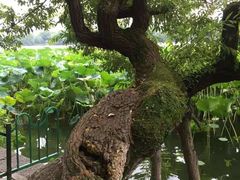 -苏堤停车场