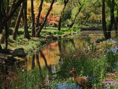 -上海共青森林公园