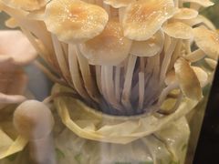 -烹然四季椰子鸡火锅(姚家园万象汇店)