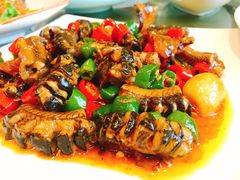 -莆鑫海鲜城(浏河店)
