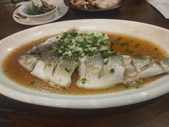 -盐官日光域房车营地·有盐餐厅