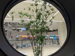 -羲和雅苑•北京烤鸭(乐园道万象城店)