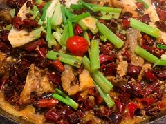 老板恋上鱼-老板恋上鱼(恒隆广场店)