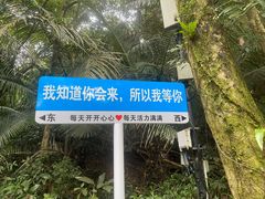 -七仙岭温泉国家森林公园