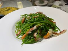 -金美华轩(东方路齐鲁店)