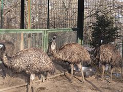 -青藏高原野生动物园