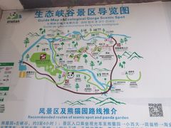-碧峰峡风景区