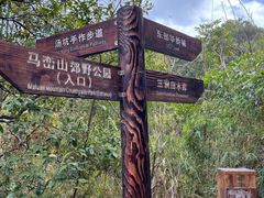 -马峦山郊野公园