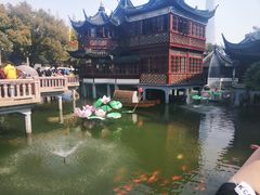 -豫园湖心亭茶楼