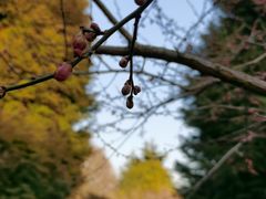-白塘生态植物园
