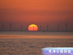 -南汇嘴观海公园