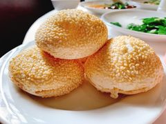 -九花山烤鸭店