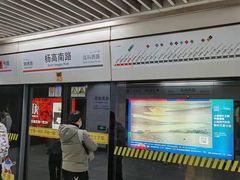 -杨高南路(地铁站)