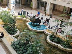 -辽宁省人民医院