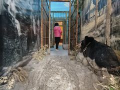 -北京动物园-畅观楼