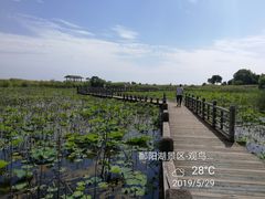 -鄱阳湖国家湿地公园