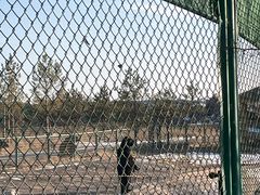 -鄂尔多斯野生动物园