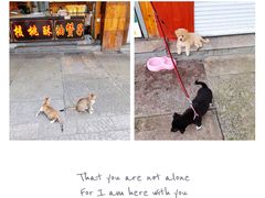 -溪口-滕头旅游景区