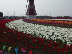 -菊园百果园