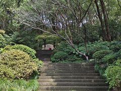 -杭州半山国家森林公园